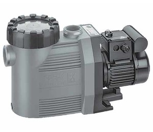 Насос BADU 90/20 (220V)
