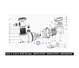Крыльчатка для насоса Emaux AMU012TP/16TP/AMU012P/16P (1311045)