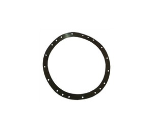 Гумка фланця прожектора RPR120.A (к-т)