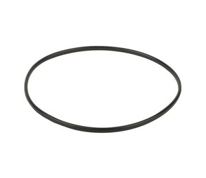 Кільце ущільнювача до притискного фланця корпусу насоса Emaux SC (02011089)