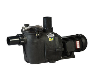 Насос Hayward RS II RS3008EV1 (220 В, 12.5 м3/ч, 0.75 HP)