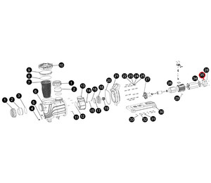 Крышка вентилятора для насоса Aquaviva SLP300-400, (B17010056 №47)